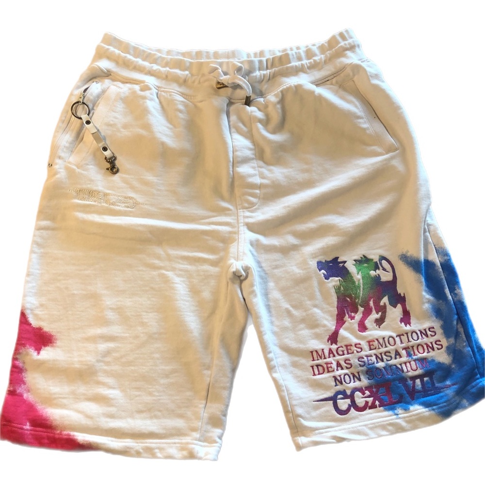 Dreamland Men’s Shorts